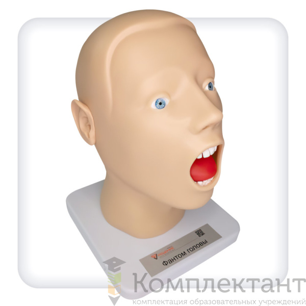 Тренажер взятия мазков из носа и зева
