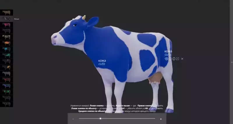 Интерактивный ветеринарный атлас Инноватор  Vet Anatomy 75"